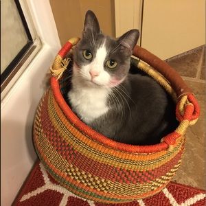 Meet your Posher, Janice